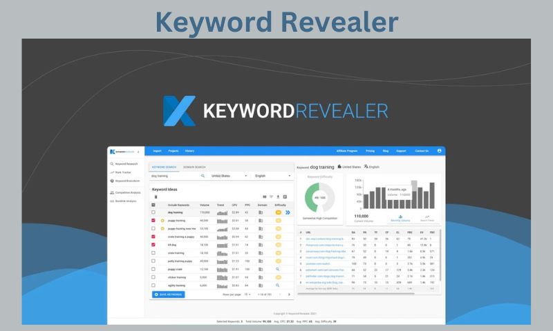 keyword revealer review